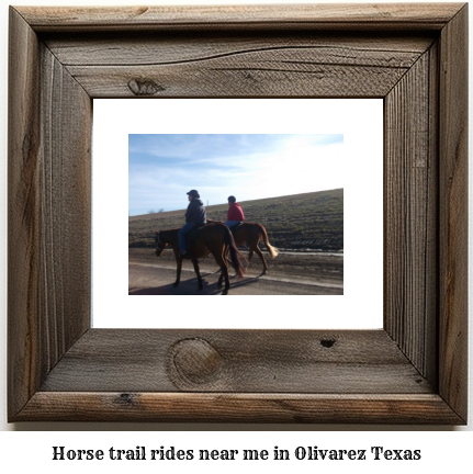 horse trail rides near me in Olivarez, Texas